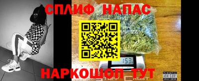молекула духа Шелехов