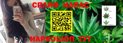 молекула духа Шелехов