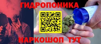 спиды Шахты