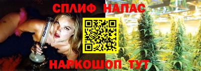 молекула духа Шелехов