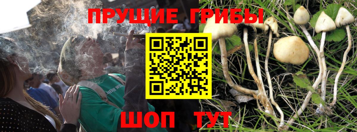 Псилоцибиновые грибы прущие грибы Белогорск